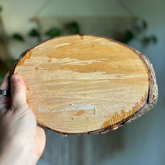 Hand-Burned Owl Wood Art Pyrography Rustic Cottagecore, Woodland, Nature Decor - Picture 6 of 8